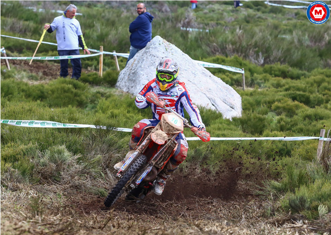 johnny aubert trefle 2016