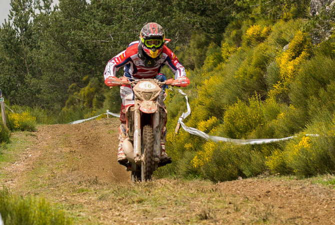 johnny aubert trefle j3
