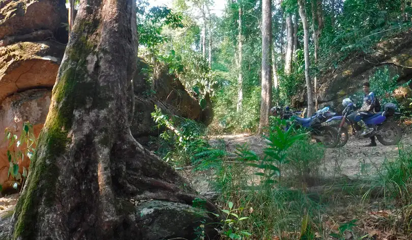Pose en plein coeur de la jungle Loatienne ballade ejungle LAOS 2019 2