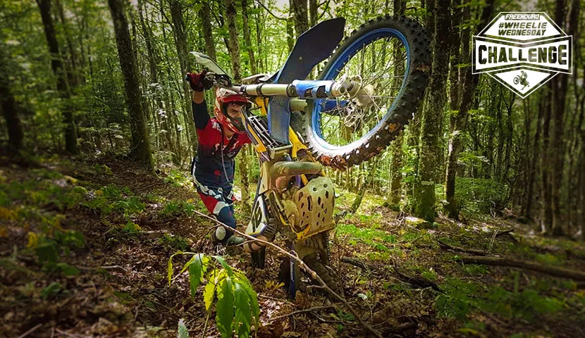 32 ème sélection pour notre #WheeliewednesdayChallenge hebdomadaire ce mercredi 30 septembre 2020 la photo de Flavien