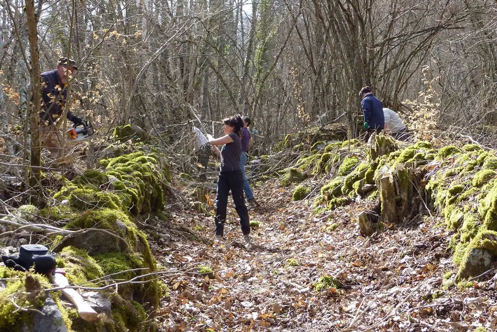 chantier entretien chemin campagne enduro