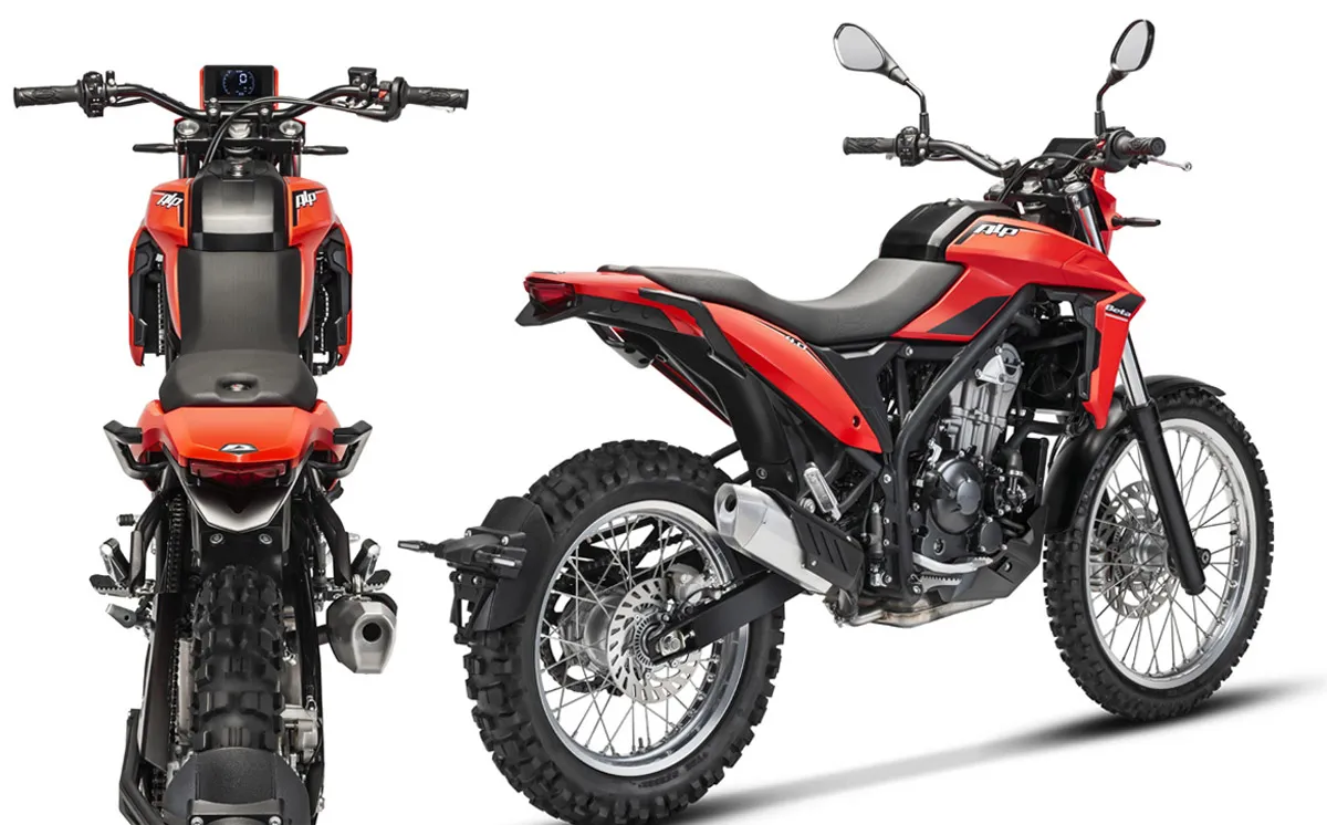 Beta ALP 4 rouge