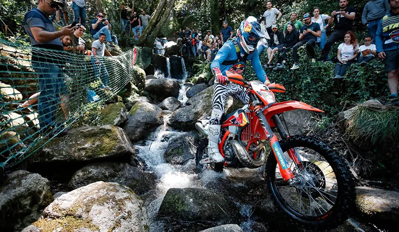 Lettenbichler XL Lagares 2019