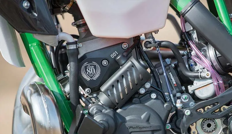 moteur Rieju enduro MR300 80 anniversaire 2