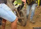 freenduro-9104