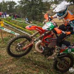 IMG_2650