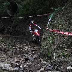 IMG_9073