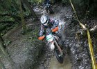 freenduro-4441
