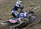 IMG 0248
