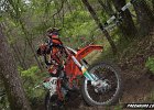 IMG 1886