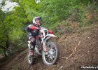 IMG 2137
