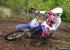IMG 2176