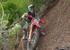 IMG 2229