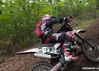 IMG 2241