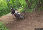 IMG 2309