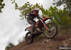 IMG 2402
