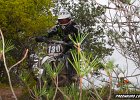 IMG 2416