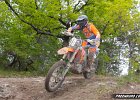 IMG 2429