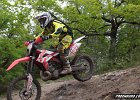 IMG 2437
