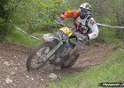 IMG 2464