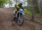 IMG 2486