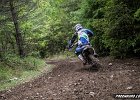 IMG 2518