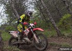 IMG 2526