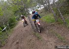 IMG 2548
