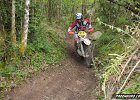 IMG 2582