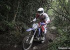 IMG 2617