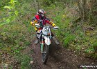 IMG 2619