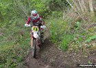 IMG 2623