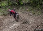 IMG 2668