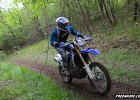 IMG 2722