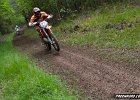 IMG 2725