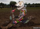 Freenduro-4486