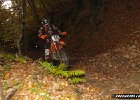 freenduro-9469