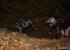 freenduro-9587