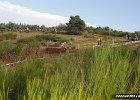 freenduro-0457